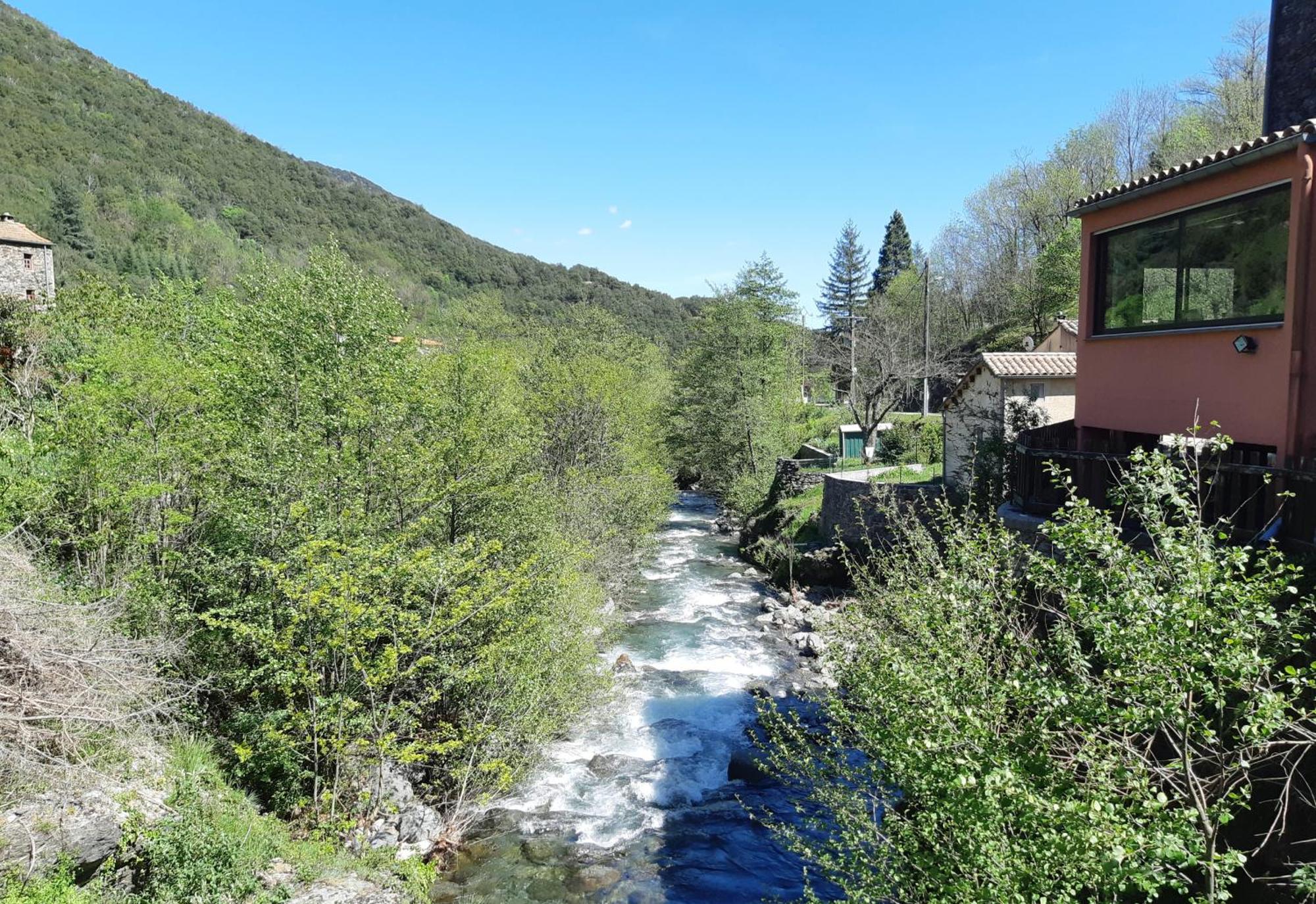 Auberge Cevenole Valleraugue Eksteriør bilde